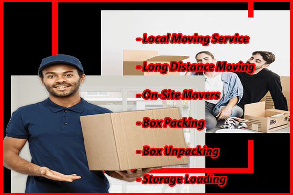 Packers And Movers Noida Sector 30
